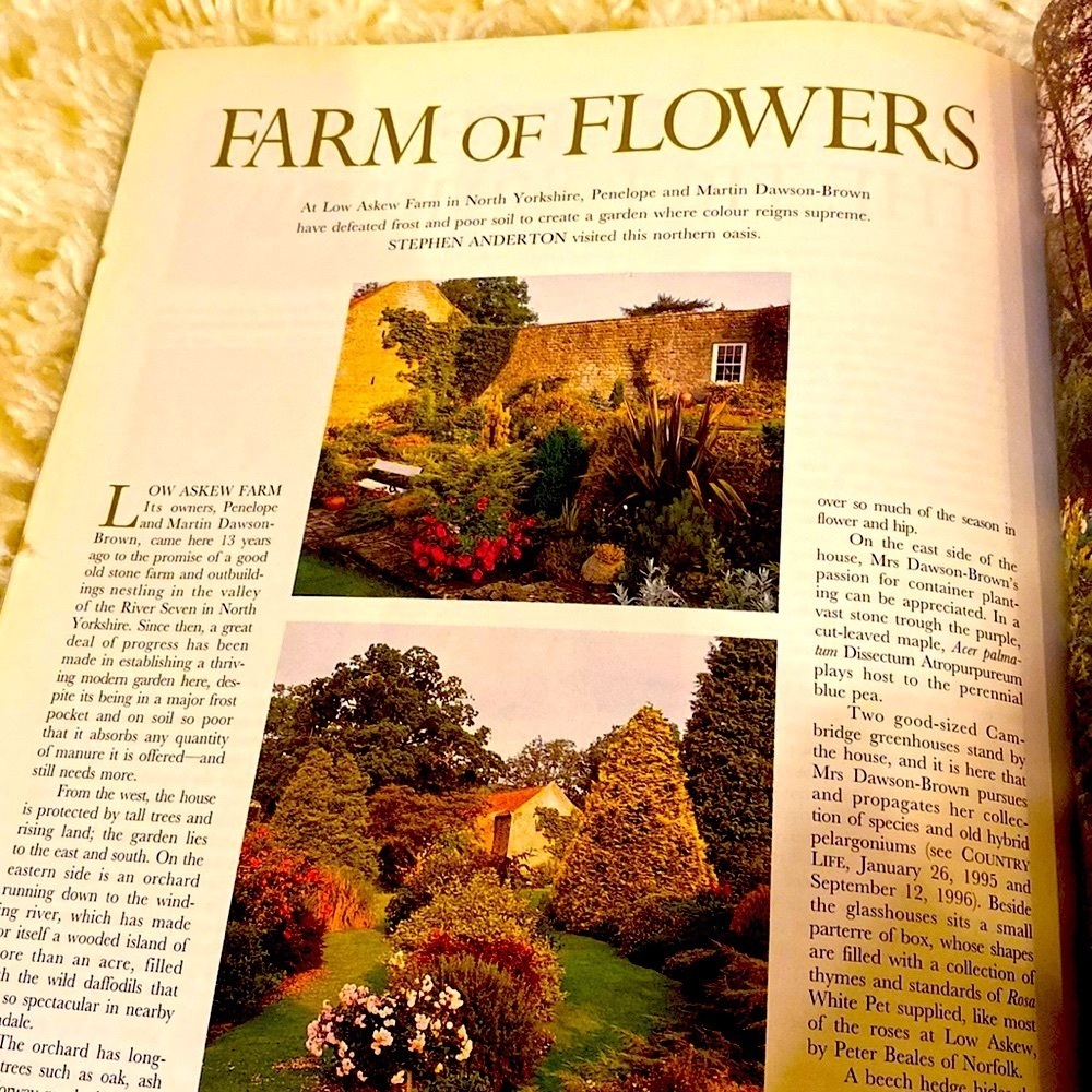 COUNTRY LIFE MAGAZINE March 6, 1997 Fine Arts Number GREAT BRITAIN EUC!